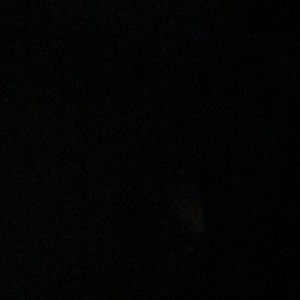 Meet your Posher, Xavier